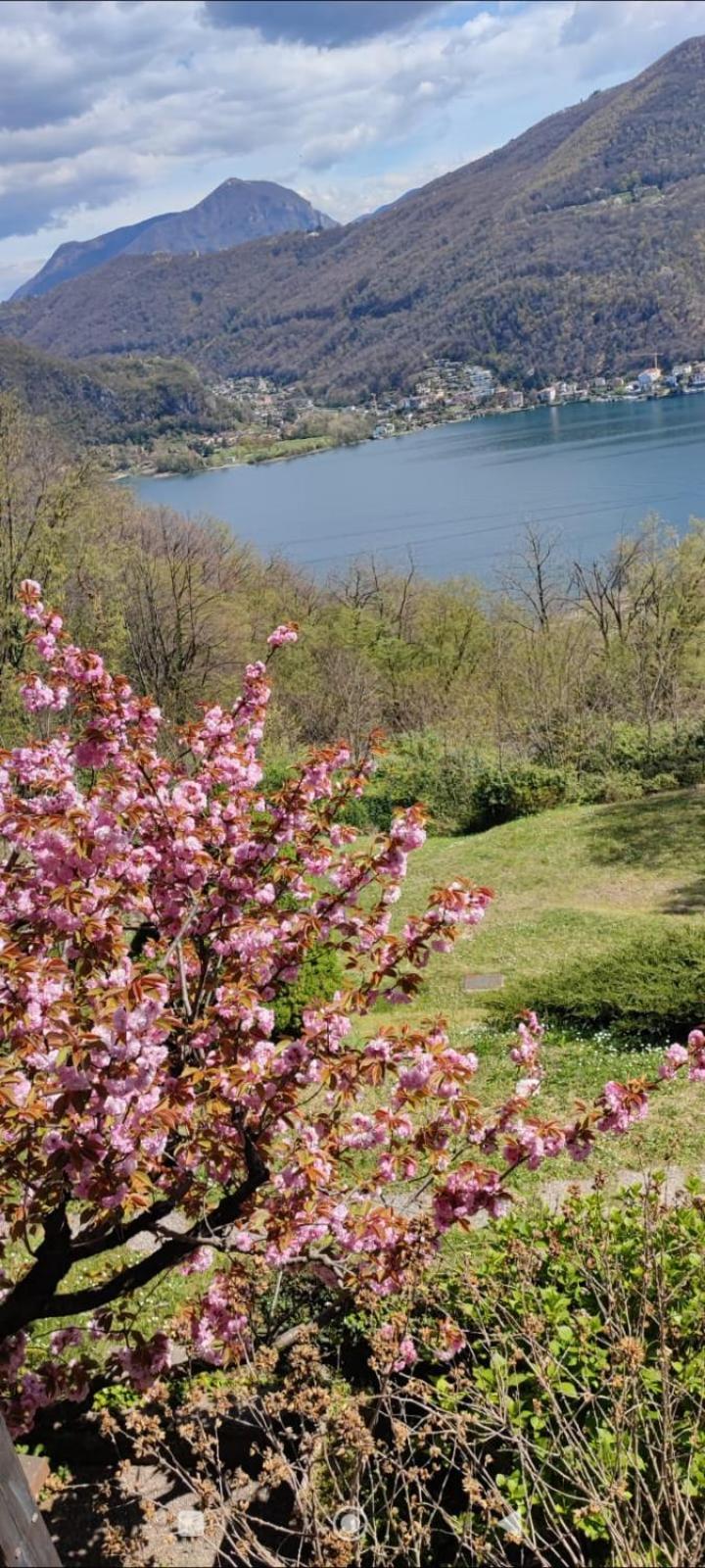 Bed and Breakfast La Finestra Sul Lago Brusimpiano Экстерьер фото